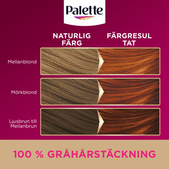 Palette Intensive Creme Coloration 7-70 Terrakotta Mellanblond