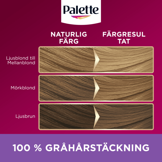 Palette Intensive Creme Coloration 8-16 Ljus Askblond