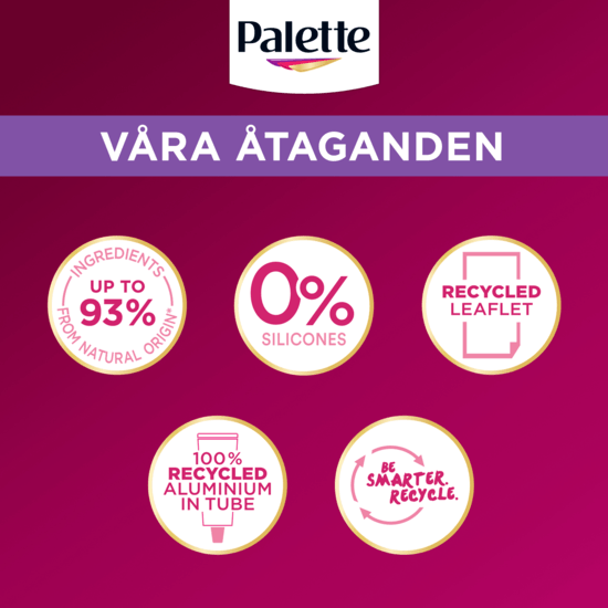 Palette Intensive Creme Coloration 8-16 Ljus Askblond