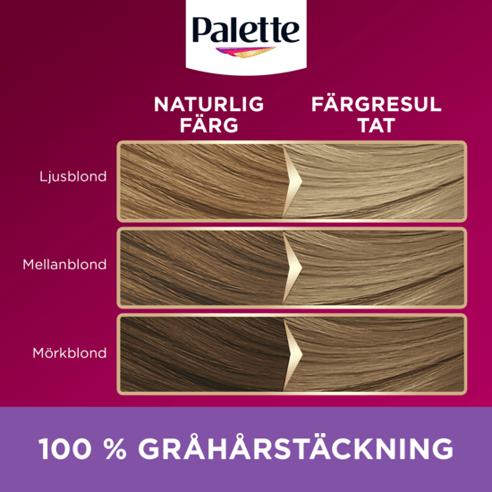Palette Intensive Creme Coloration 9-1 Kristallblond