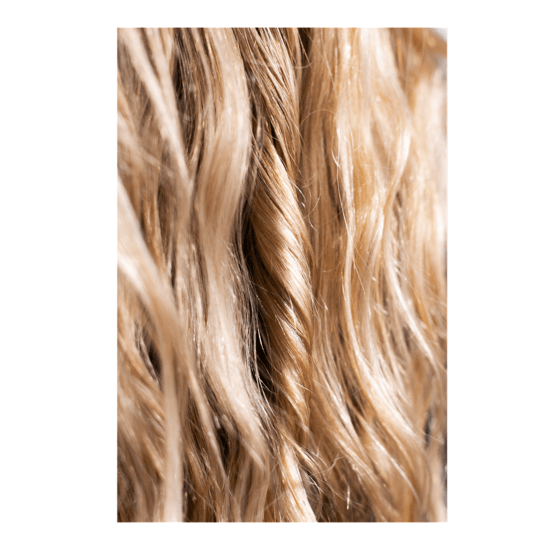 Scandinavian Biolabs Hair Protecting Oil 30 ml