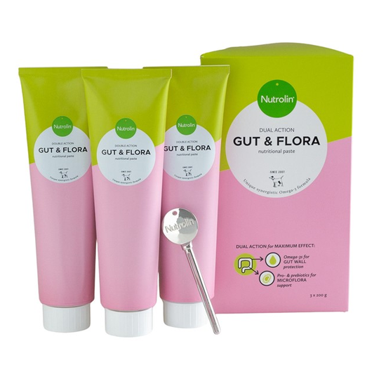Nutrolin Gut & Flora Paste 600 g