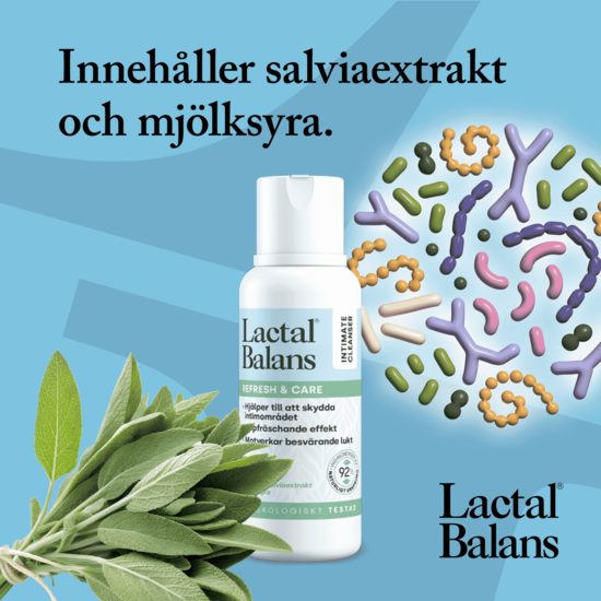Lactal Balans Refresh & Care 250 ml
