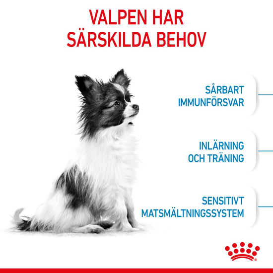 Royal Canin X-Small Puppy Torrfoder för Hundvalp 3 kg