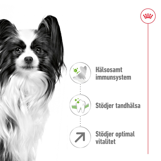Royal Canin X-Small Adult 8+ Torrfoder för Hund 1,5 kg