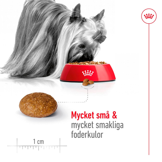 Royal Canin X-Small Adult 8+ Torrfoder för Hund 1,5 kg