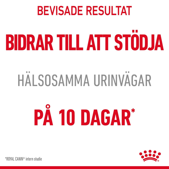 Royal Canin Urinary Care Adult Torrfoder för Katt 10 kg