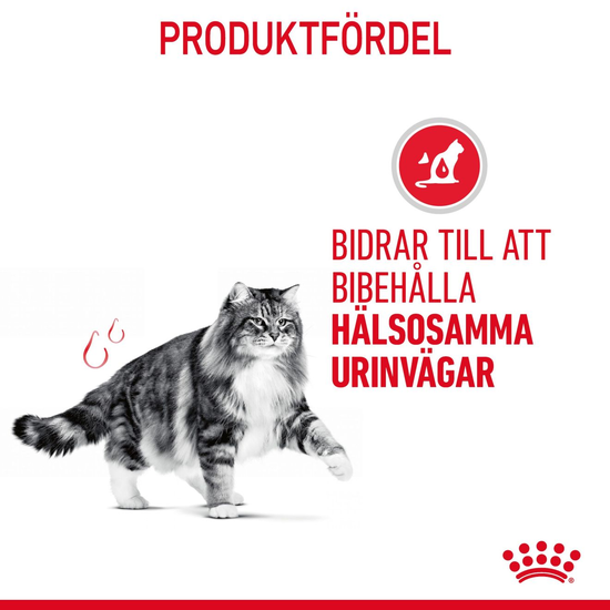 Royal Canin Urinary Care Adult Torrfoder för Katt 10 kg