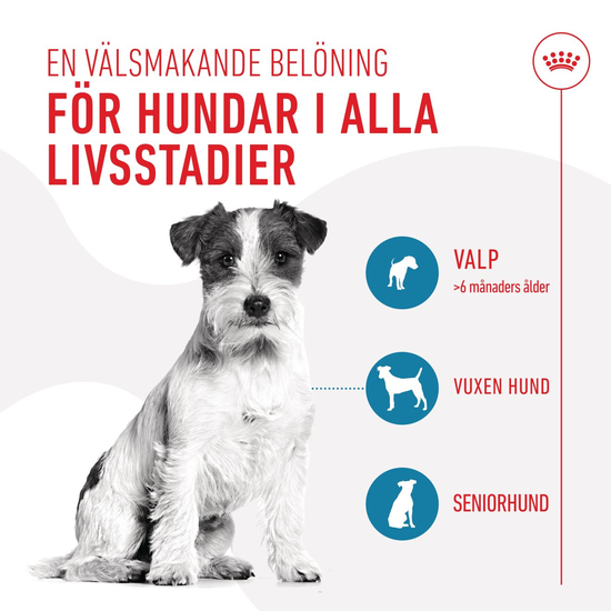 Royal Canin Training Treats för Hund 110 g