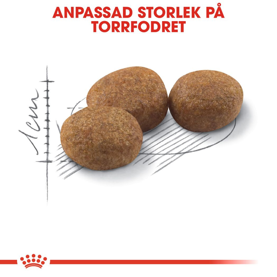 Royal Canin Sterilised Adult Torrfoder för Katt 10 kg
