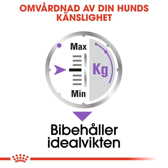 Royal Canin Sterilised Adult Loaf Våtfoder för Hund 1,02 kg