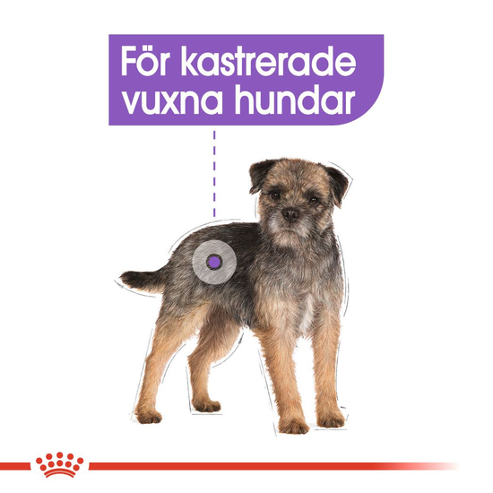Royal Canin Sterilised Adult Loaf Våtfoder för Hund 1,02 kg