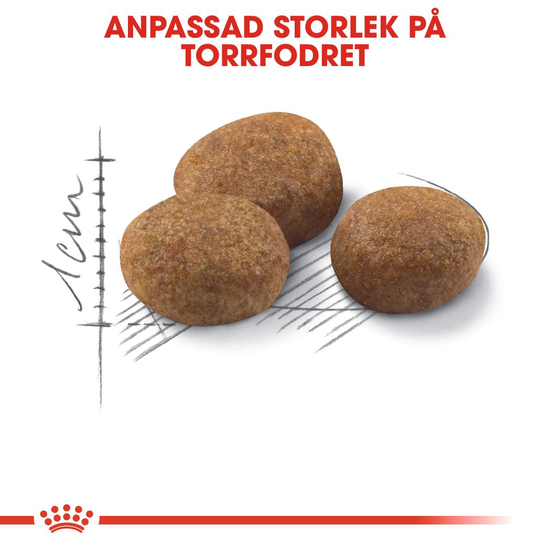 Royal Canin Sterilised 7+ Ageing Torrfoder för Katt 3,5 kg