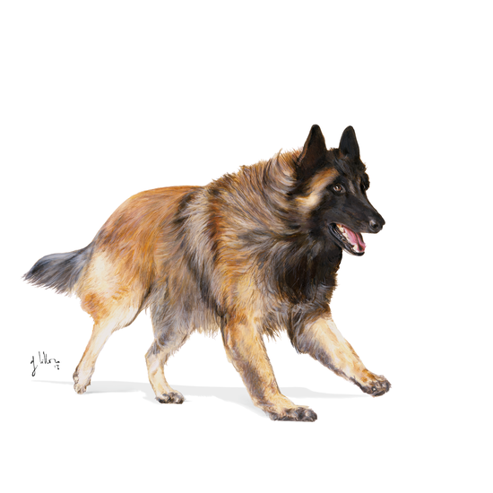 Royal Canin Sporting Life Energy 4300 Adult Torrfoder för Hund 15 kg
