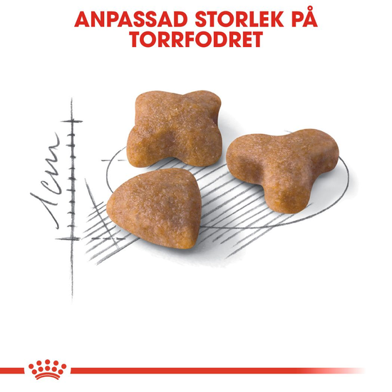 Royal Canin Sensible Adult Torrfoder för Katt 4 kg