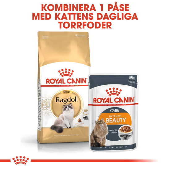 Royal Canin Ragdoll Adult Torrfoder för Katt 2 kg