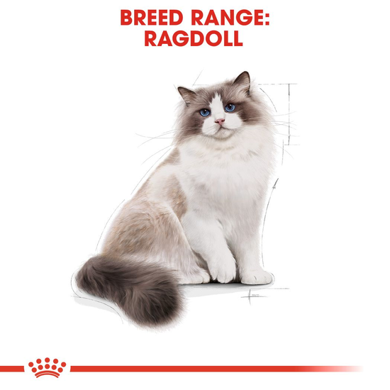 Royal Canin Ragdoll Adult Torrfoder för Katt 10 kg