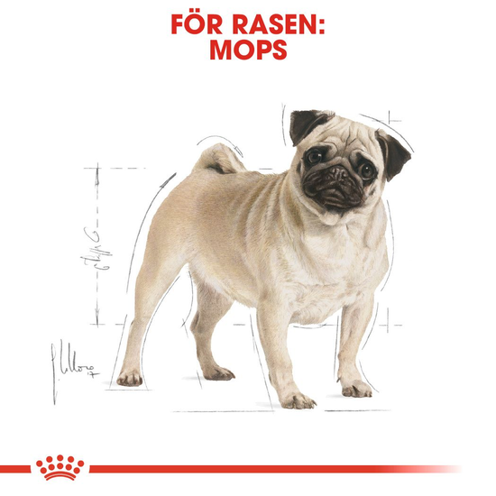 Royal Canin Pug Adult Torrfoder för Hund 7,5 kg