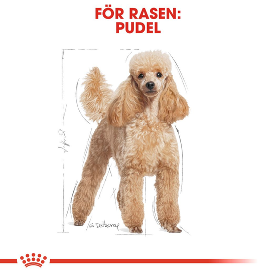 Royal Canin Poodle Adult Torrfoder för Hund 7,5 kg