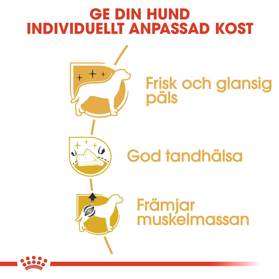Royal Canin Poodle Adult Torrfoder för Hund 7,5 kg