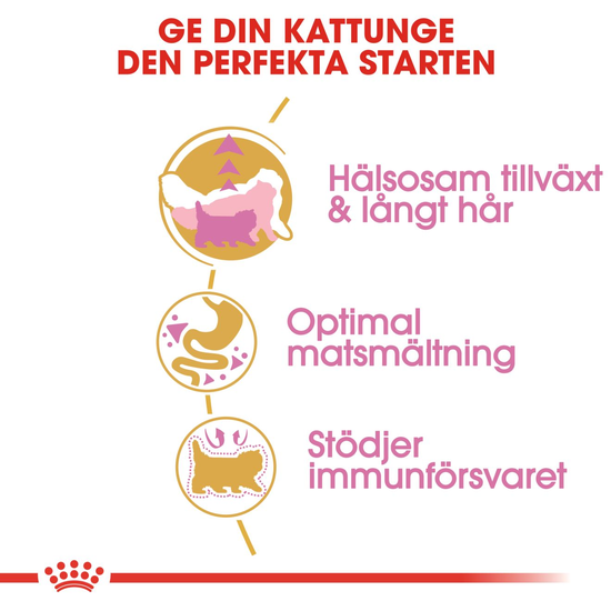 Royal Canin Persian Kitten Torrfoder för Kattunge 2 kg