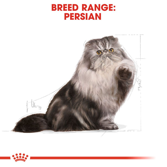 Royal Canin Persian Adult Torrfoder för Katt 10 kg