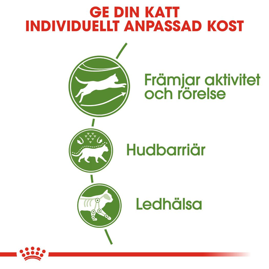 Royal Canin Outdoor Adult Torrfoder för Katt 4 kg