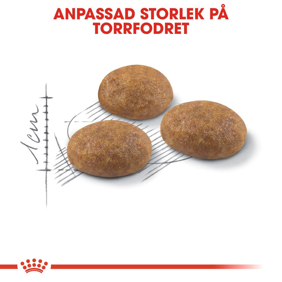 Royal Canin Outdoor Adult Torrfoder för Katt 4 kg