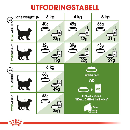 Royal Canin Outdoor Adult Torrfoder för Katt 4 kg