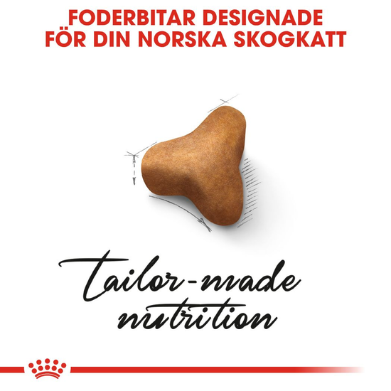 Royal Canin Norwegian Forest Cat Adult Torrfoder för Katt 10 kg