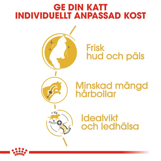 Royal Canin Norwegian Forest Cat Adult Torrfoder för Katt 10 kg