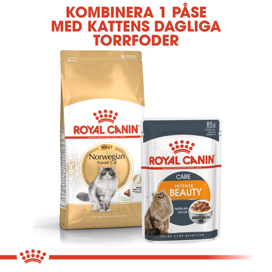 Royal Canin Norwegian Forest Cat Adult Torrfoder för Katt 10 kg