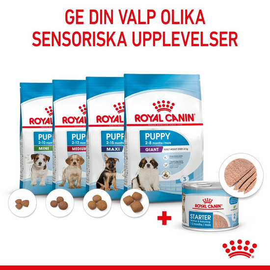 Royal Canin Mother & Babydog Starter Mousse Våtfoder för Hund & Hundvalp 2,34 kg
