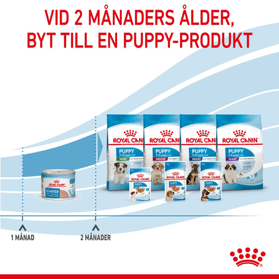 Royal Canin Mother & Babydog Starter Mousse Våtfoder för Hund & Hundvalp 2,34 kg