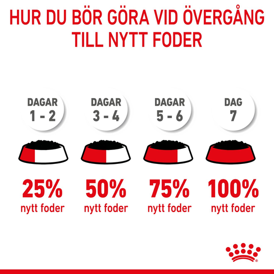 Royal Canin Mother & Babydog Starter Mousse Våtfoder för Hund & Hundvalp 2,34 kg