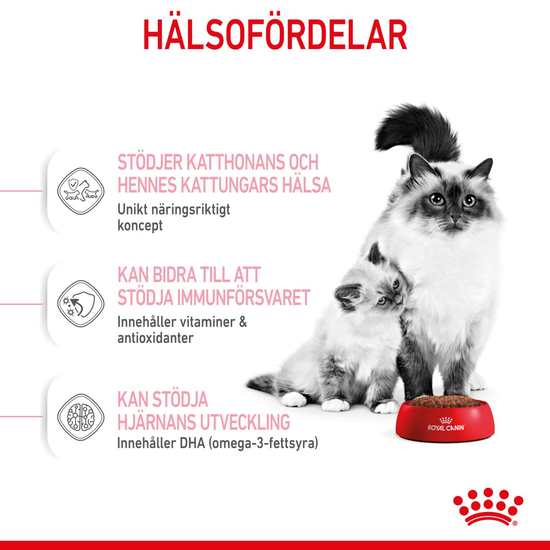 Royal Canin Mother & Babycat Torrfoder för Katt & Kattunge 2 kg