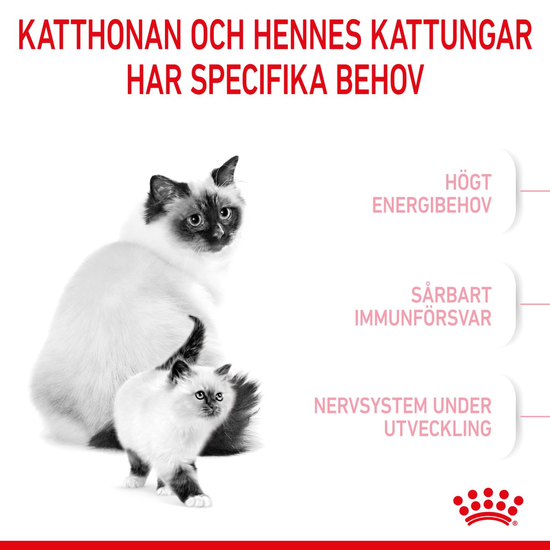 Royal Canin Mother & Babycat Torrfoder för Katt & Kattunge 2 kg