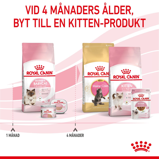 Royal Canin Mother & Babycat Torrfoder för Katt & Kattunge 2 kg