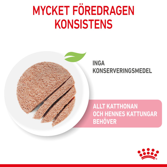 Royal Canin Mother & Babycat Mousse Våtfoder för Katt & Kattunge 2,34 kg