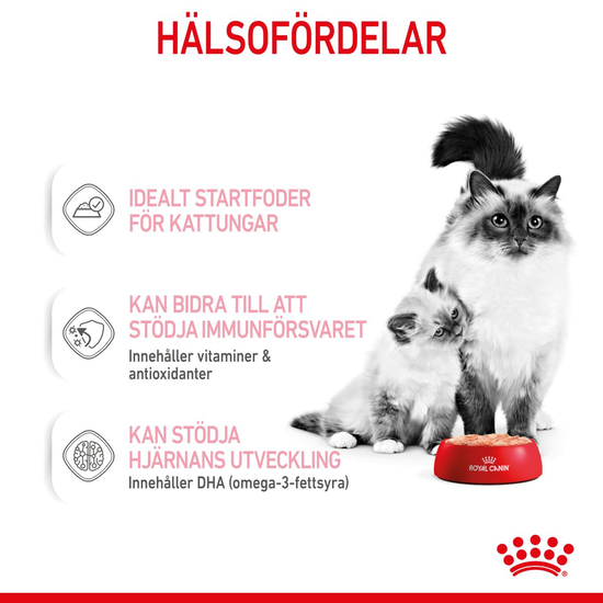 Royal Canin Mother & Babycat Mousse Våtfoder för Katt & Kattunge 2,34 kg