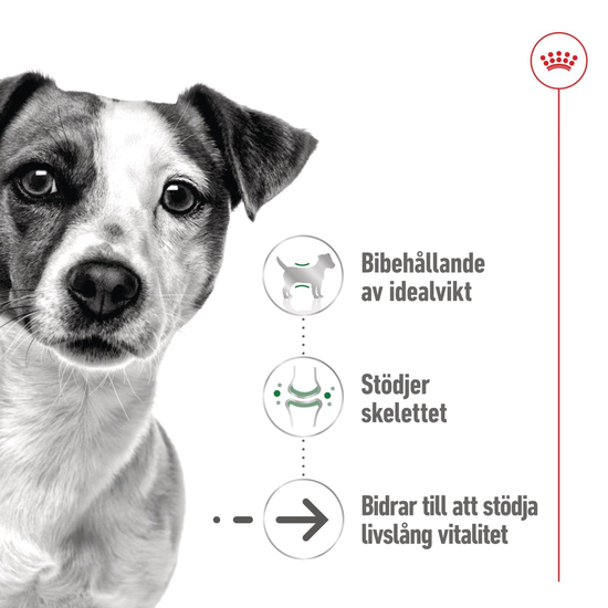 Royal Canin Mini Ageing Gravy Våtfoder för Hund 1,02 kg