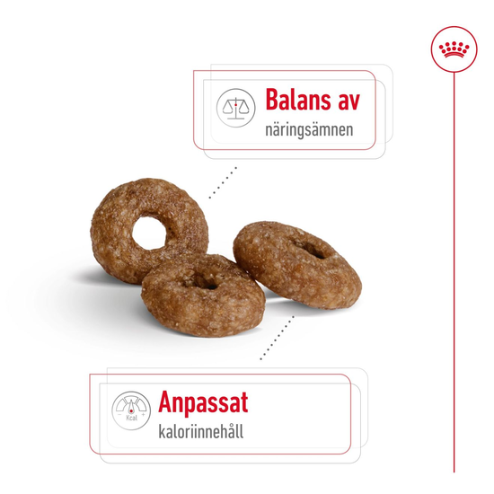 Royal Canin Mini Ageing 12+ Torrfoder för Hund 3,5 kg