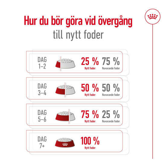 Royal Canin Mini Adult Torrfoder för Hund 8 kg