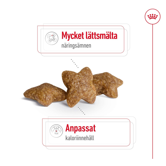 Royal Canin Mini Adult Torrfoder för Hund 4 kg