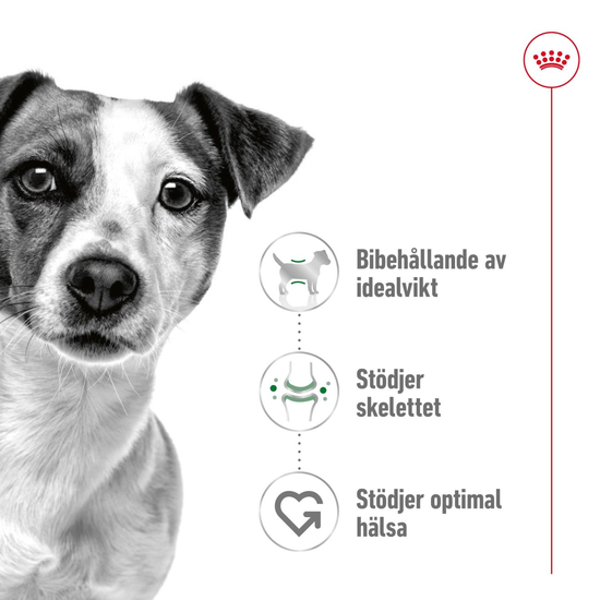 Royal Canin Mini Adult Torrfoder för Hund 4 kg