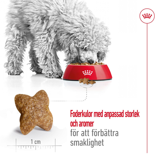 Royal Canin Mini Adult Torrfoder för Hund 4 kg
