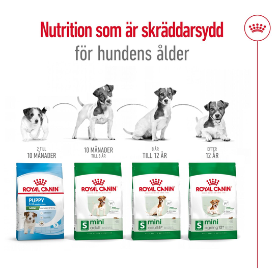 Royal Canin Mini Adult Torrfoder för Hund 2 kg