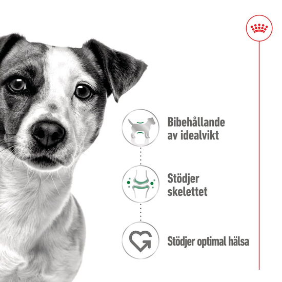 Royal Canin Mini Adult Gravy Våtfoder för Hund 1,02 kg