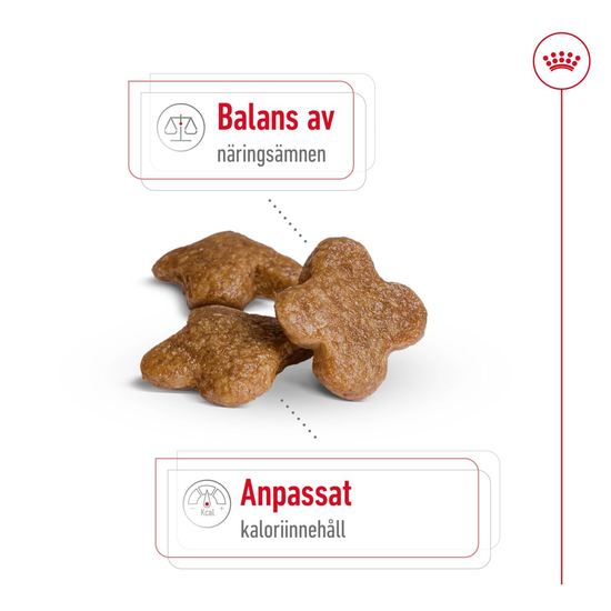 Royal Canin Mini Adult 8+ Torrfoder för Hund 8 kg