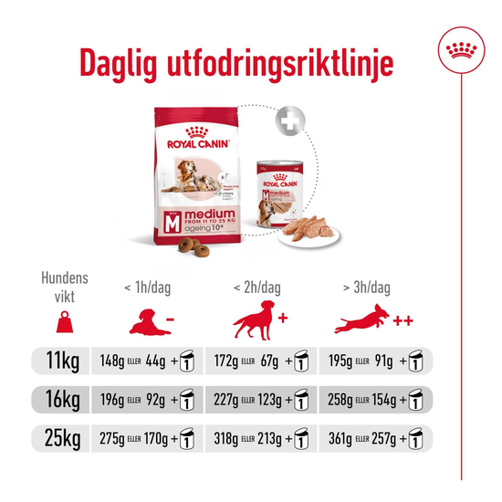 Royal Canin Medium Ageing 10+ Torrfoder för Hund 15 kg